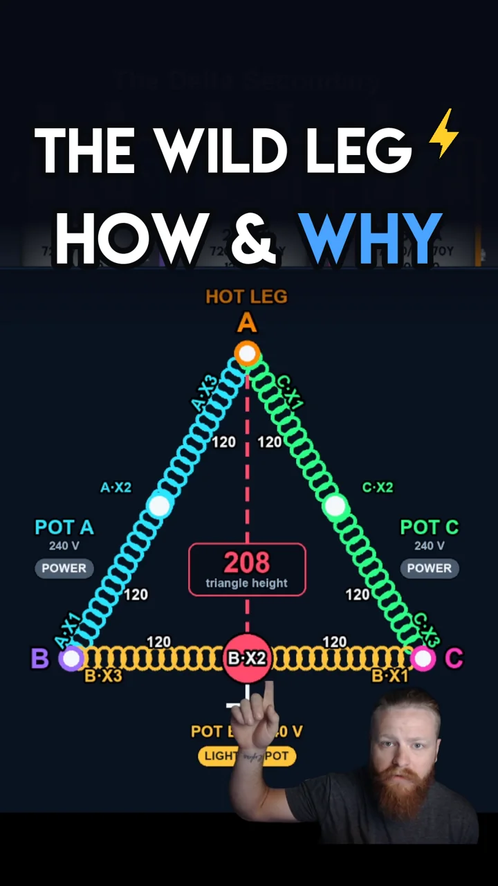 The Wild Leg: How and Why. A closed delta secondary drawn as a triangle.